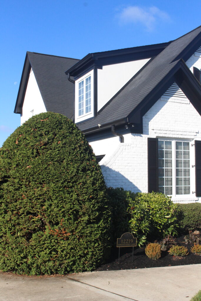 Black And White Home Exterior