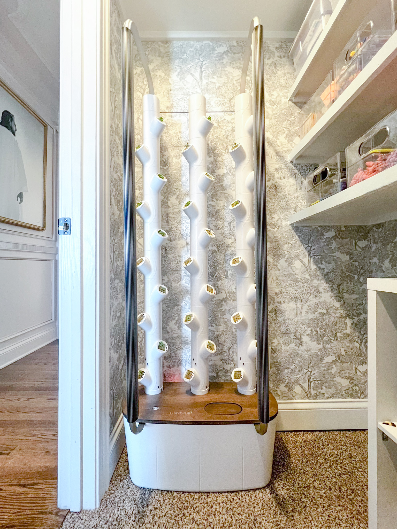 Gardyn Review: Can Food Actually Grow In A Closet? + DISCOUNT CODE