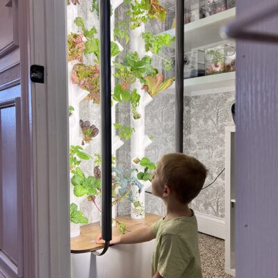 Gardyn Review: Can Food Actually Grow In A Closet? + DISCOUNT CODE