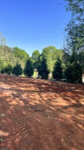 Our New Privacy Trees! | Planting A Privacy Line In Our Backyard